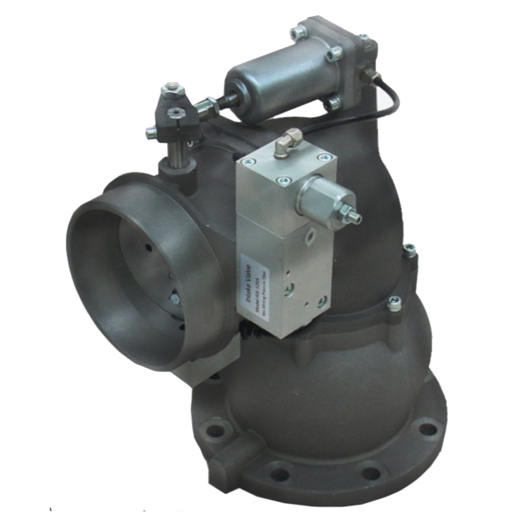 Air compressor intake valve